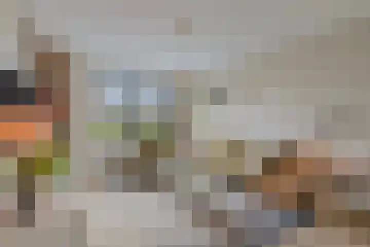 Corrie Vonkplantsoen 31 Spijkenisse thumbnail 9