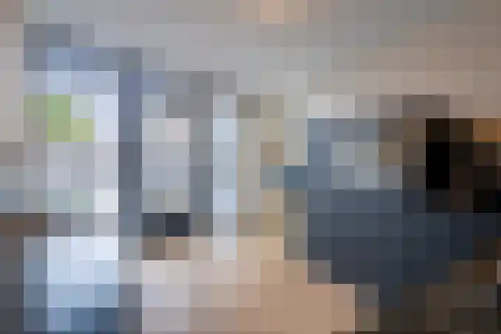Corrie Vonkplantsoen 36 Spijkenisse thumbnail 17