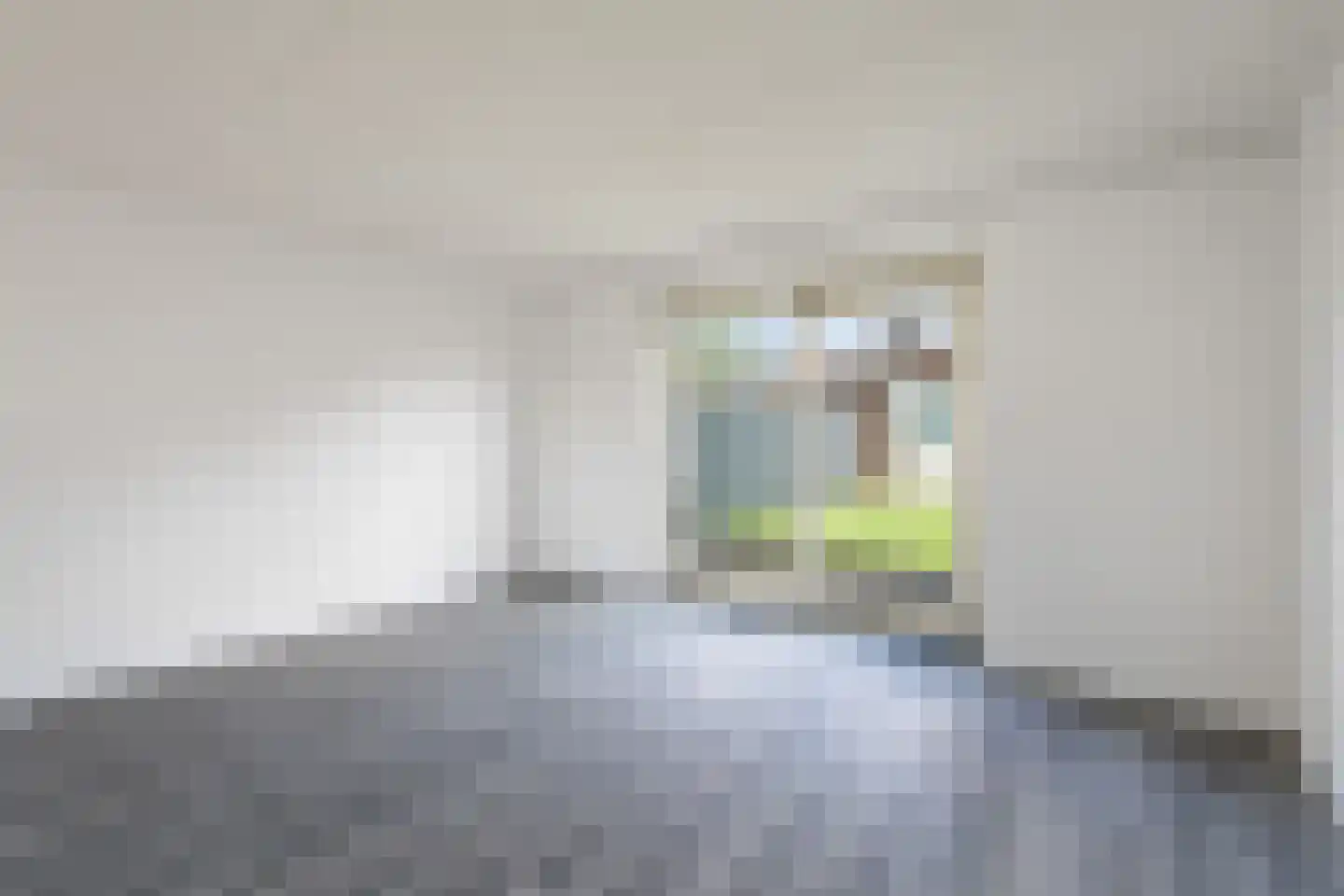 Corry Brokkenstraat 24 Berkel en Rodenrijs thumbnail 11