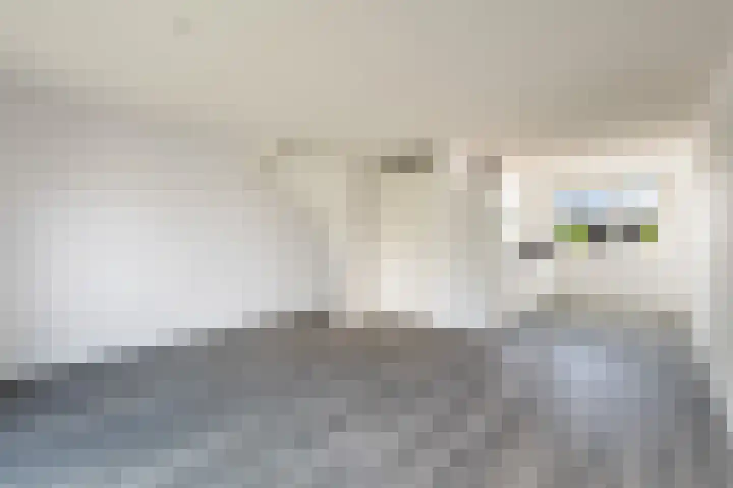 Corry Brokkenstraat 24 Berkel en Rodenrijs thumbnail 14