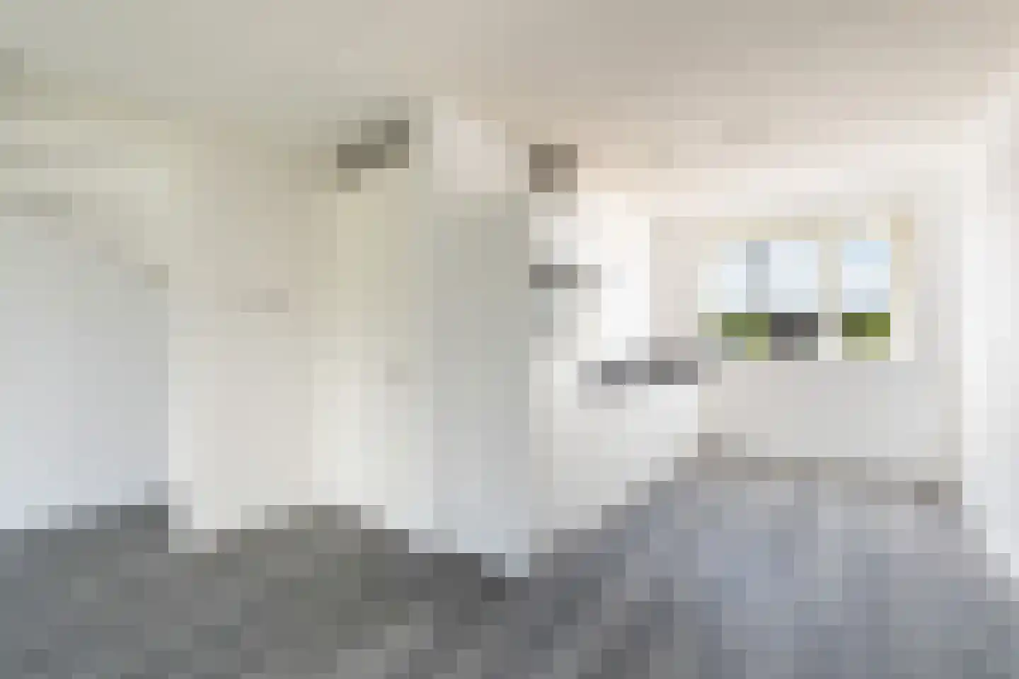 Corry Brokkenstraat 24 Berkel en Rodenrijs thumbnail 17
