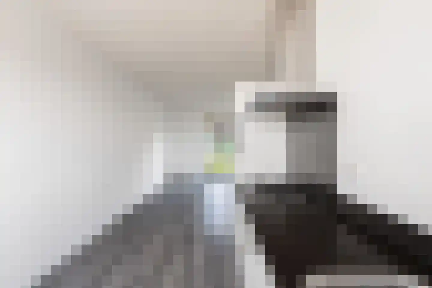 Corry Brokkenstraat 24 Berkel en Rodenrijs thumbnail 21