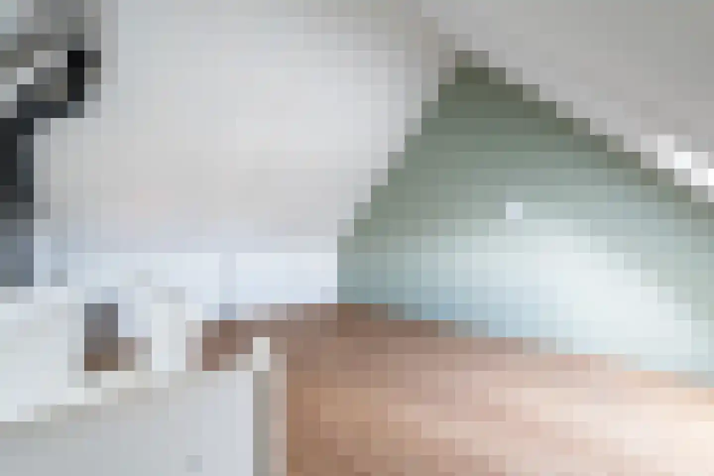 Corry Brokkenstraat 24 Berkel en Rodenrijs thumbnail 38