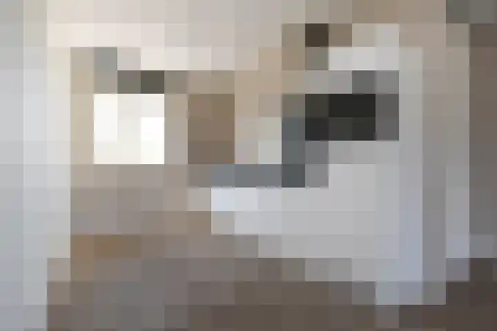 Corry Brokkenstraat 30 Berkel en Rodenrijs thumbnail 12