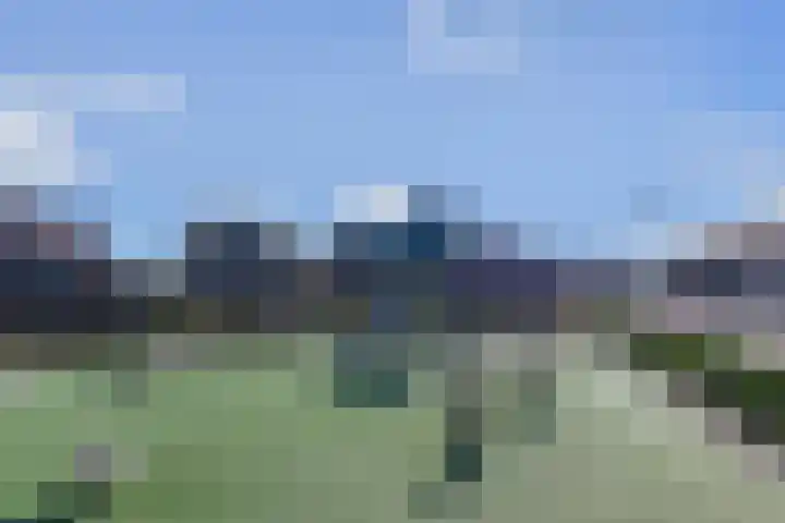 Corry Brokkenstraat 30 Berkel en Rodenrijs thumbnail 26