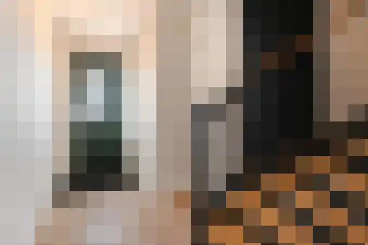 Corry Brokkenstraat 30 Berkel en Rodenrijs thumbnail 4