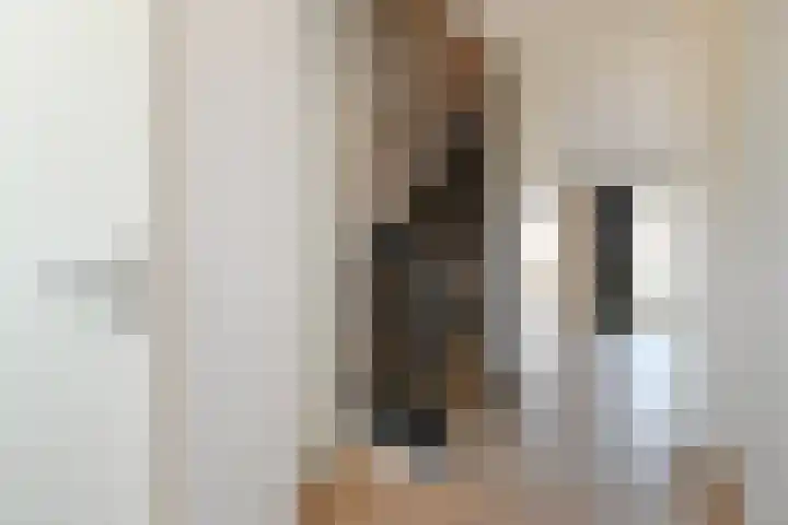 Corry Brokkenstraat 30 Berkel en Rodenrijs thumbnail 5