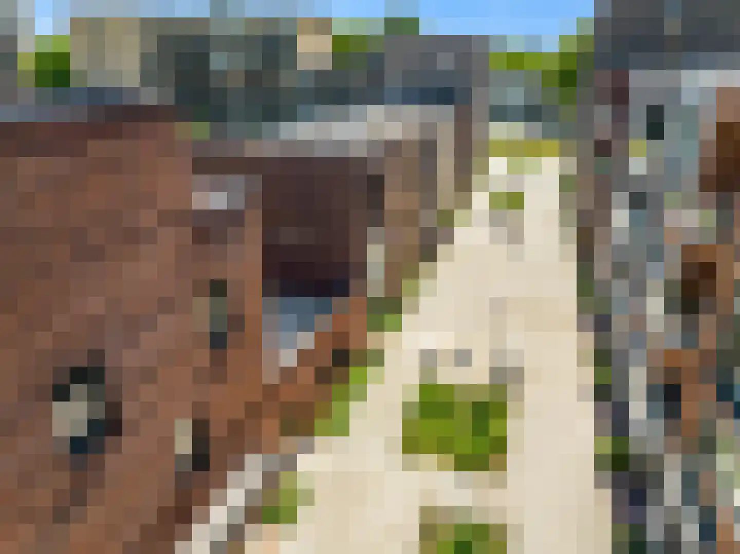 Corry Tendeloostraat 14 Zaandam thumbnail 36