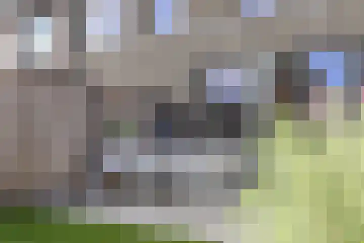 Corry van Kleefstraat 81 Blokker thumbnail 40