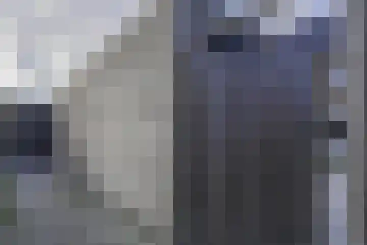 Corry van Kleefstraat 81 Blokker thumbnail 44