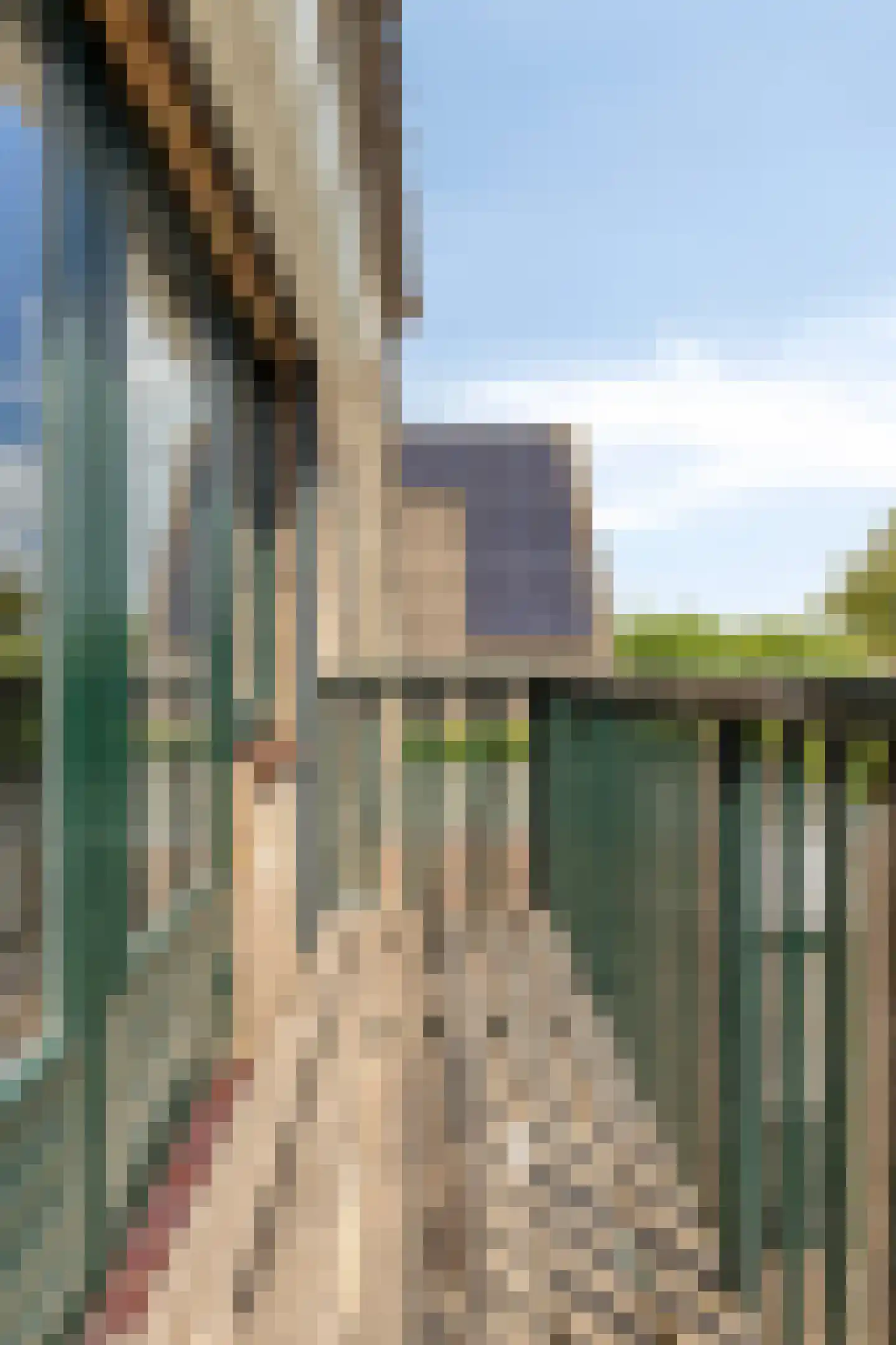 Corry Vonklaan 8 Pijnacker thumbnail 19