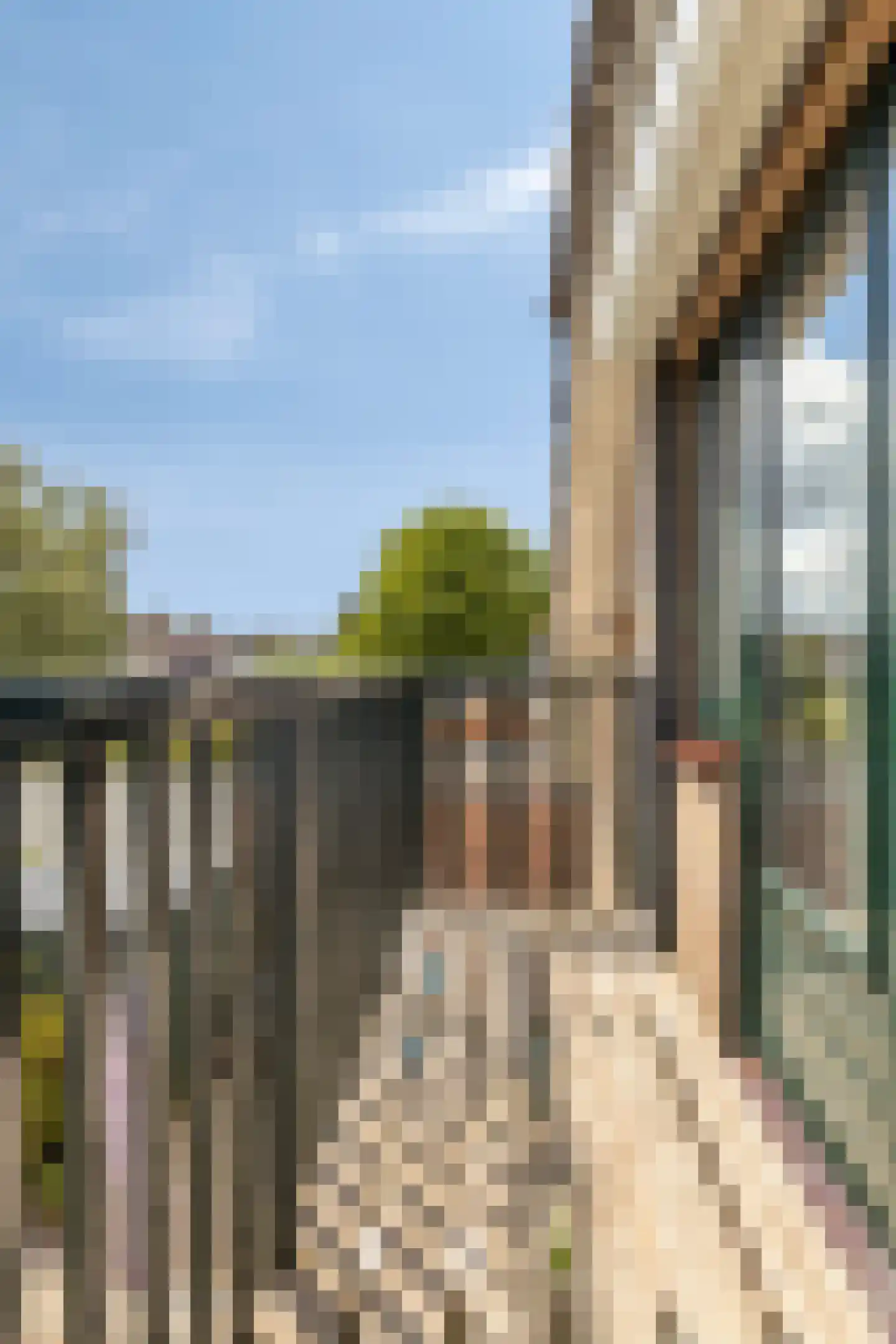 Corry Vonklaan 8 Pijnacker thumbnail 20