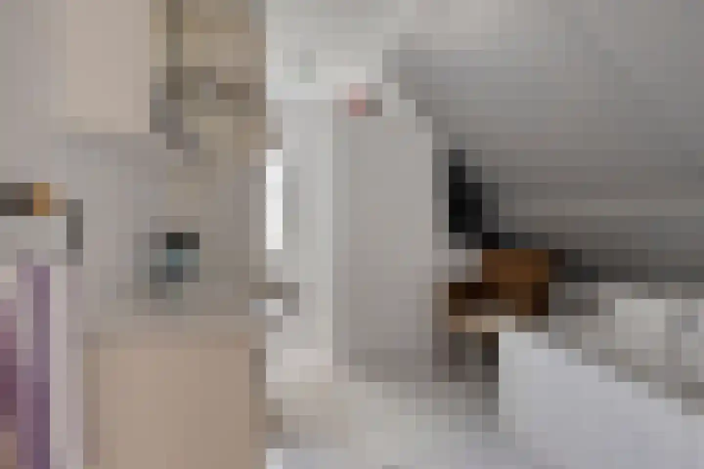 Corry Vonklaan 8 Pijnacker thumbnail 21