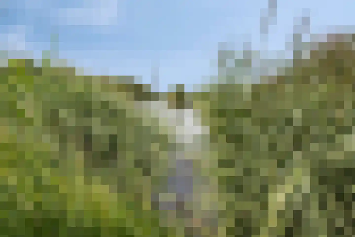 Corry Vonklaan 8 Pijnacker thumbnail 34