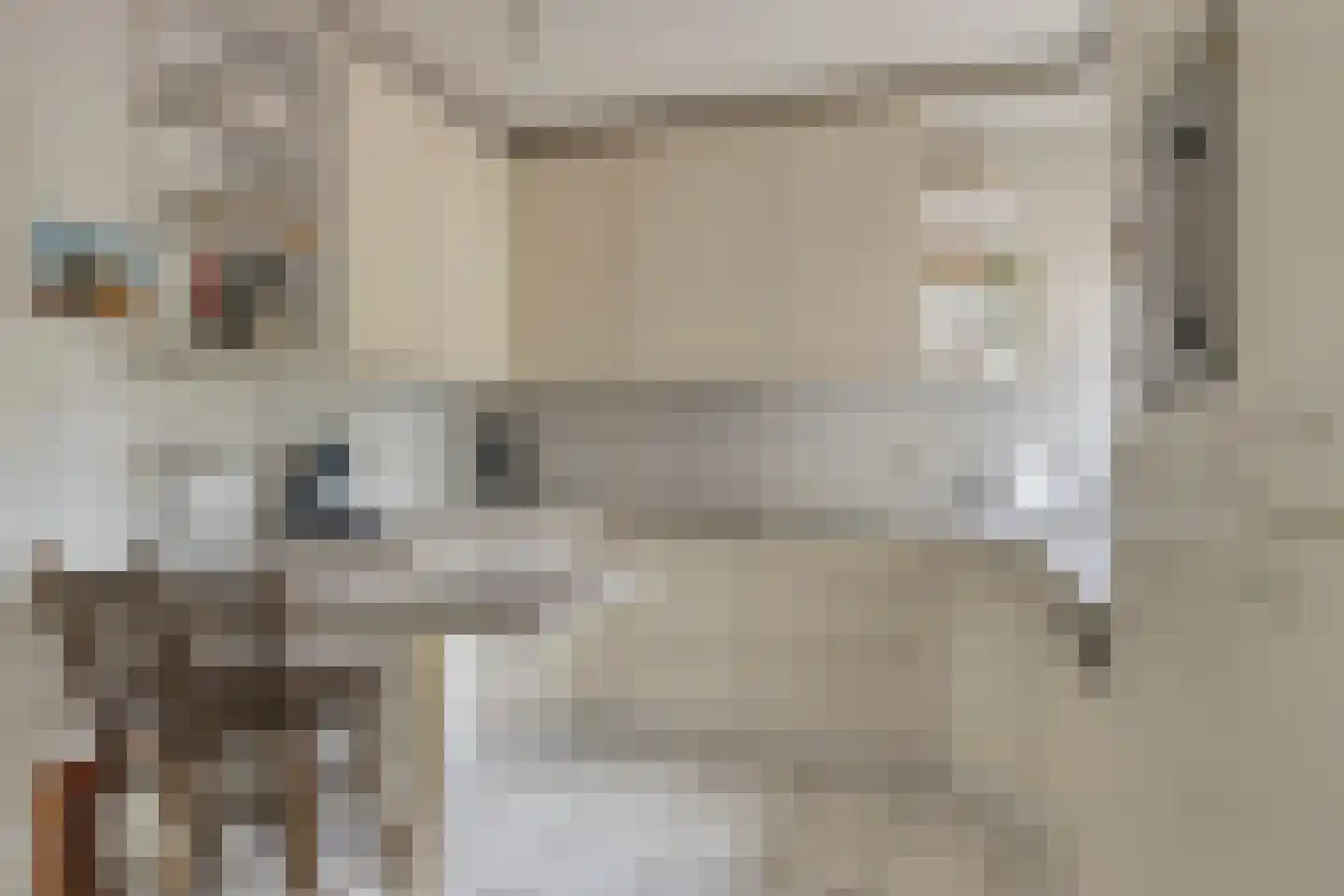 Corry Vonklaan 8 Pijnacker thumbnail 6