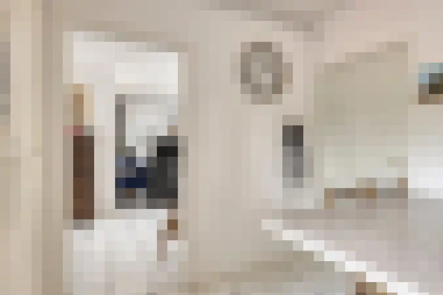 Corry Vonklaan 8 Pijnacker thumbnail 8