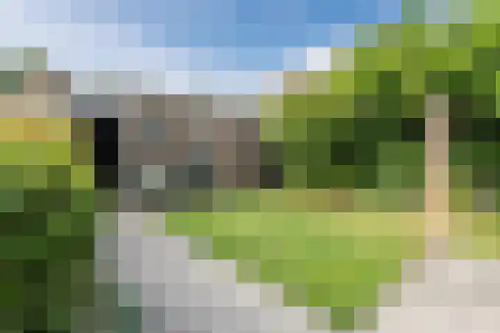 Corry Vonkstraat 35 Wageningen thumbnail 26