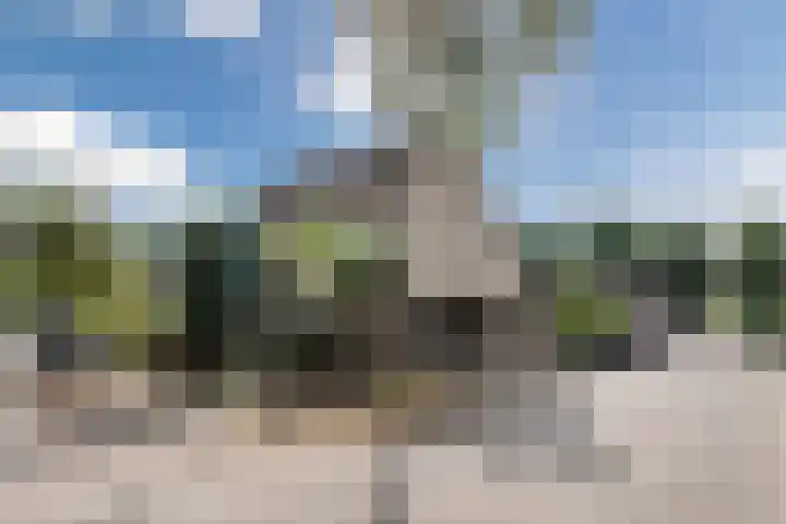 Corry Vonkstraat 35 Wageningen thumbnail 31