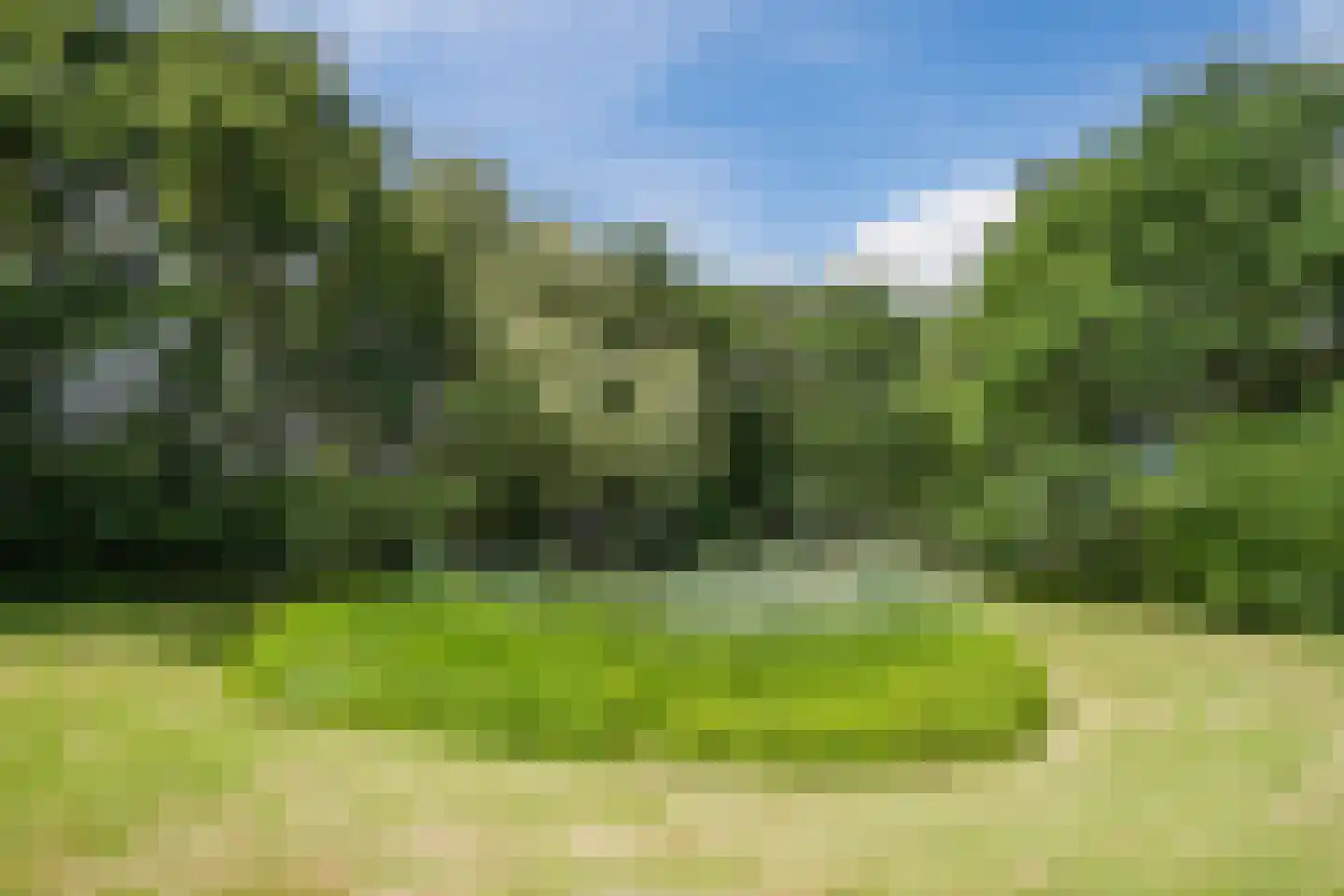Corsica 9 Veghel thumbnail 72