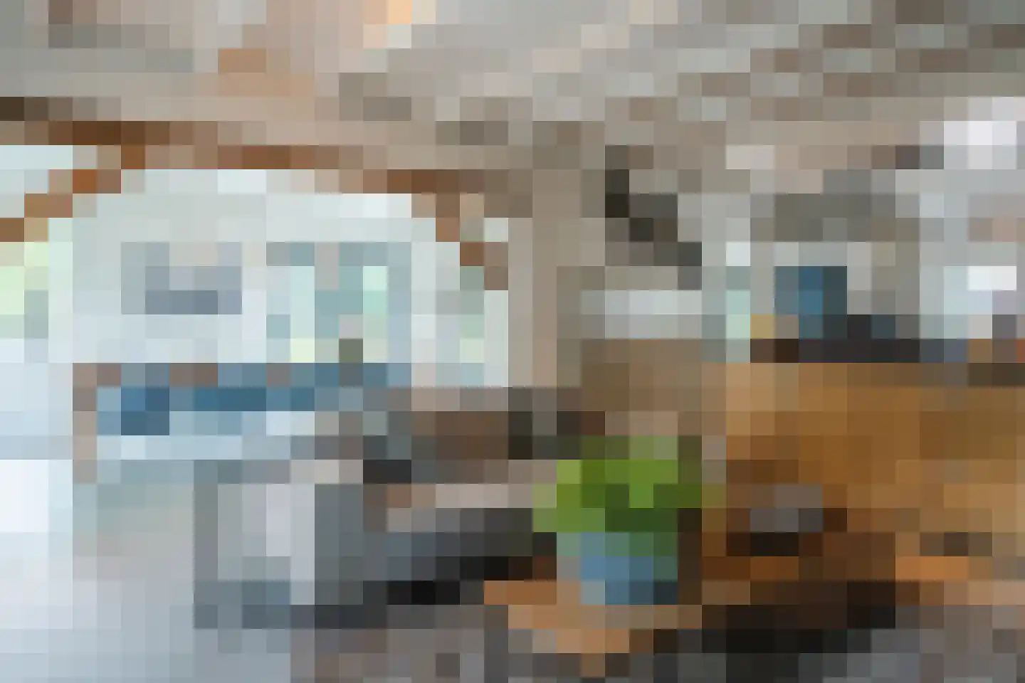 Corsica 9 Veghel thumbnail 8