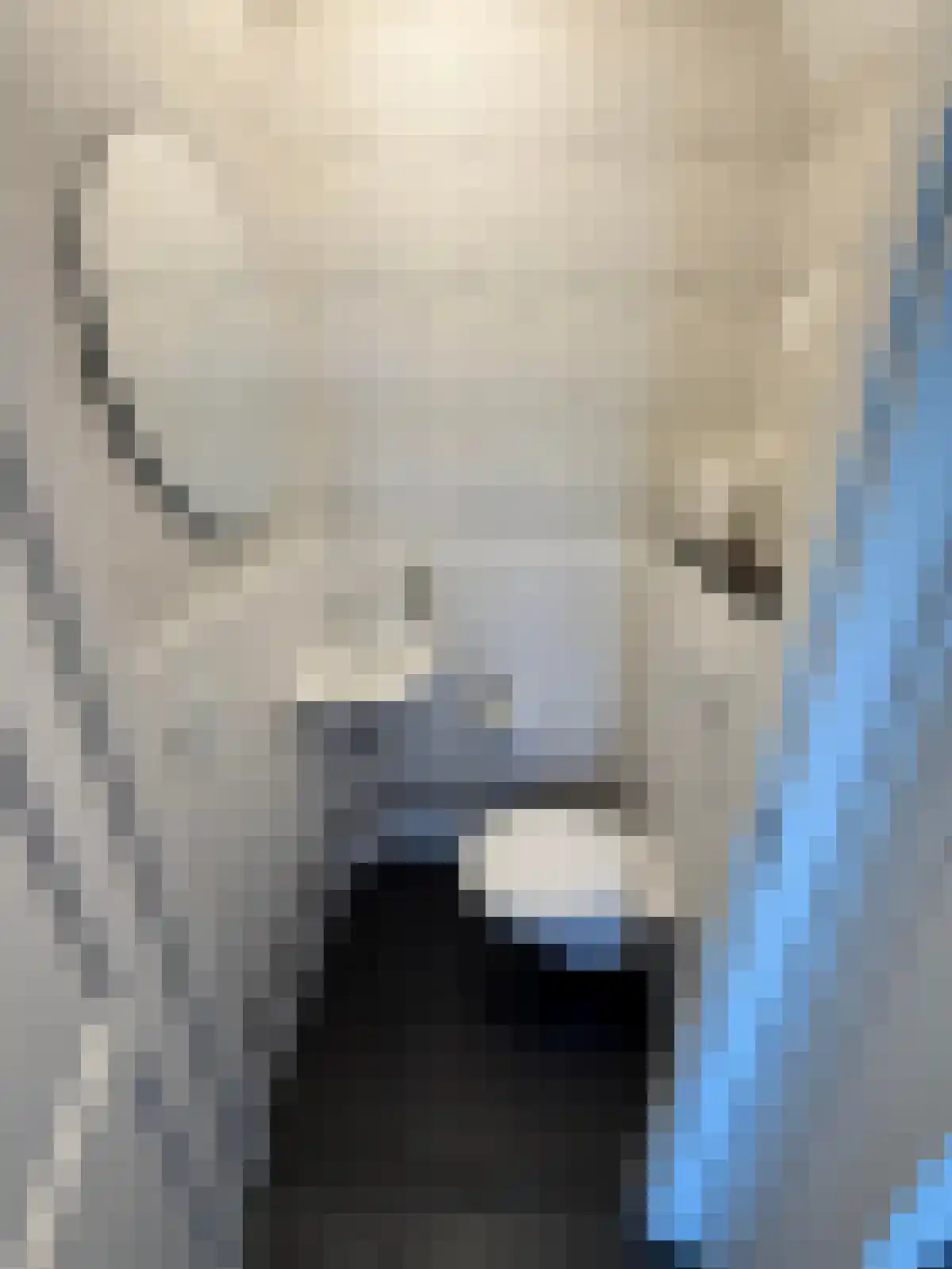 Corsicalaan 10 Eindhoven thumbnail 4