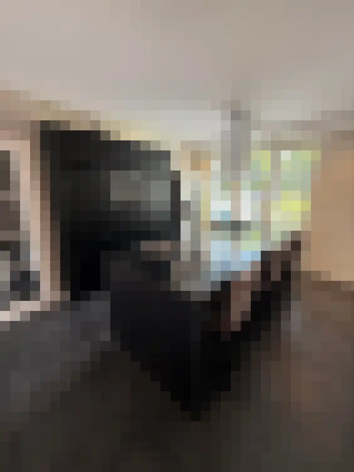 Corsicalaan 10 Eindhoven thumbnail 5