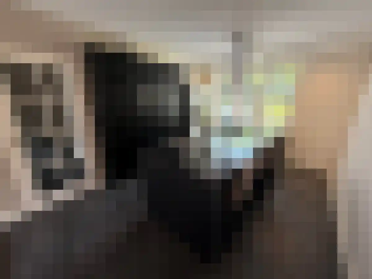 Corsicalaan 10 Eindhoven thumbnail 6