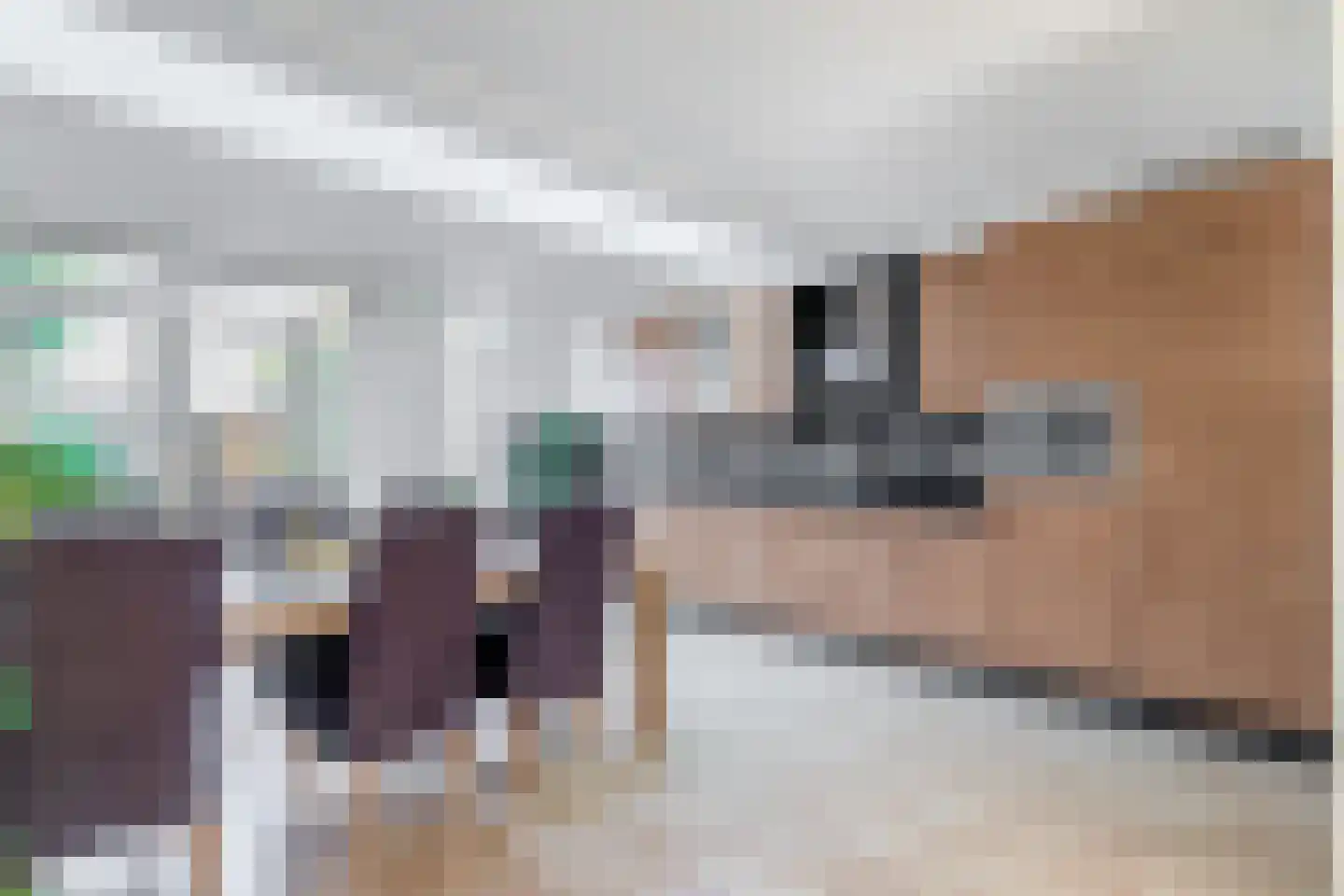 Corsicalaan 16 Eindhoven thumbnail 11