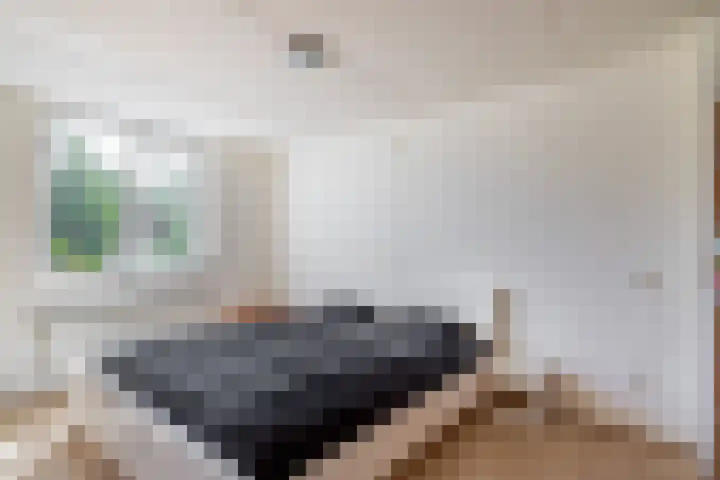 Corsicalaan 16 Eindhoven thumbnail 17