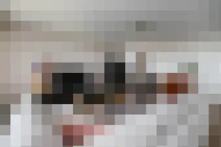 Corsicalaan 195 Rotterdam thumbnail 14