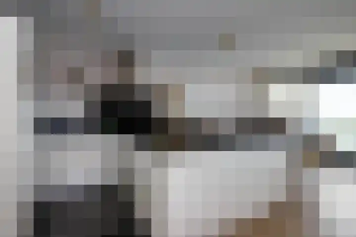 Corsicalaan 195 Rotterdam thumbnail 18