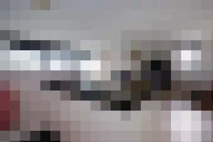 Corsicalaan 195 Rotterdam thumbnail 19