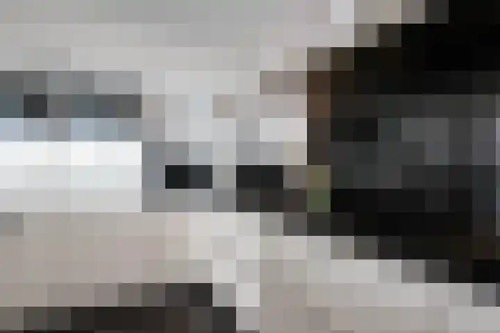 Corsicalaan 195 Rotterdam thumbnail 21
