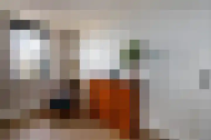 Corsicalaan 195 Rotterdam thumbnail 24