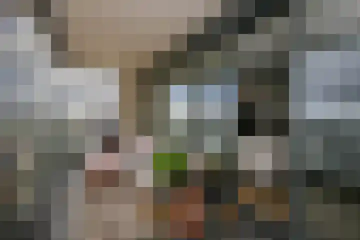 Corsicalaan 195 Rotterdam thumbnail 32