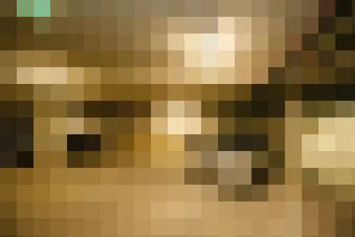 Corsicalaan 195 Rotterdam thumbnail 35