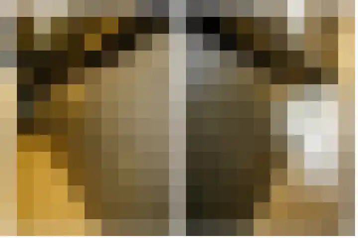 Corsicalaan 195 Rotterdam thumbnail 37