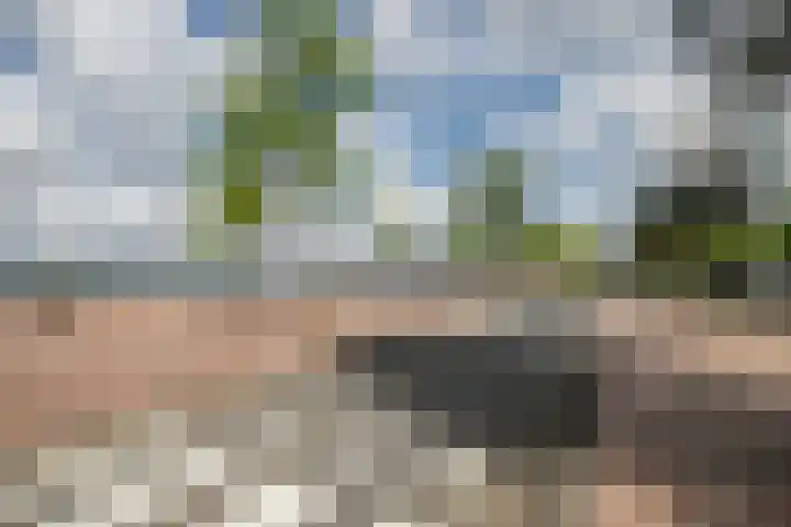 Corsicalaan 195 Rotterdam thumbnail 42