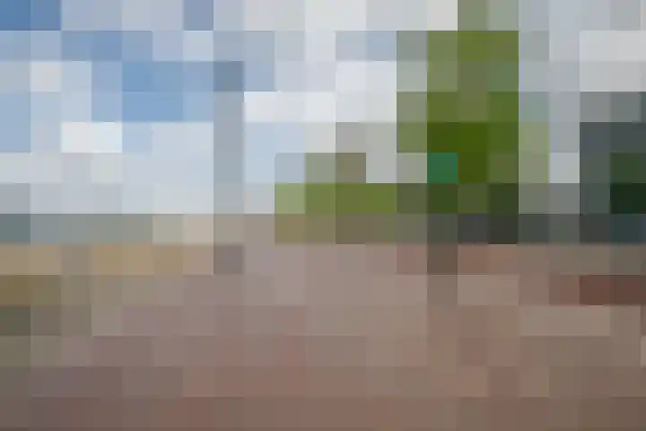 Corsicalaan 195 Rotterdam thumbnail 43