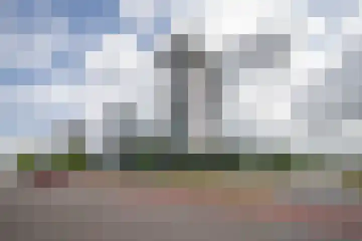 Corsicalaan 195 Rotterdam thumbnail 47