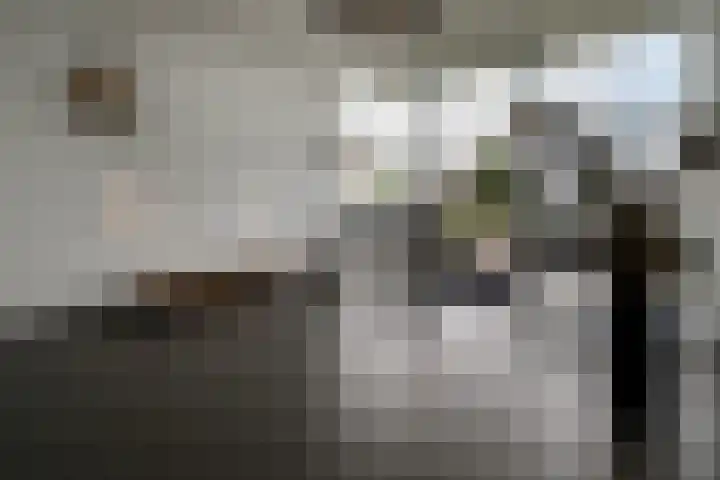 Corsicalaan 195 Rotterdam thumbnail 6