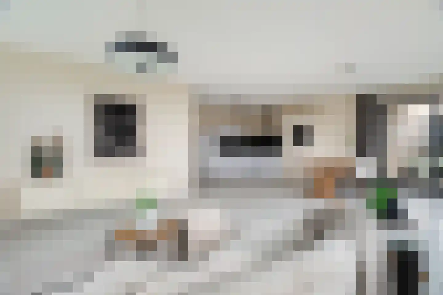 Corsicalaan 87 Rotterdam thumbnail 4
