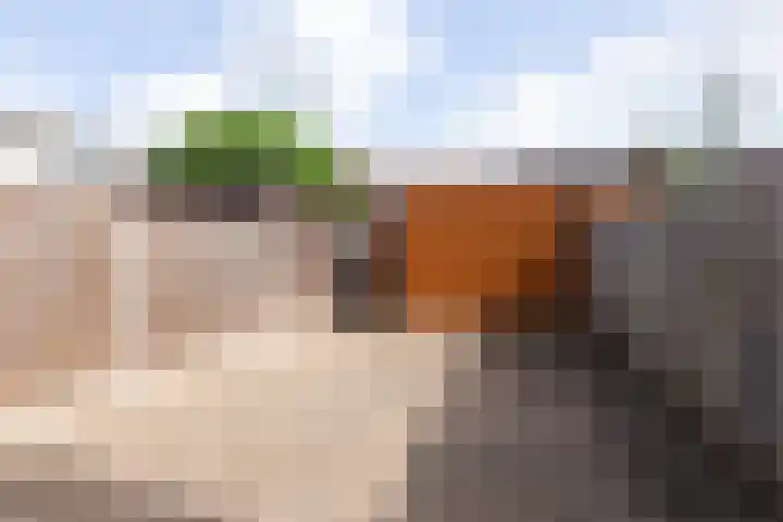 Corsicastraat 22 Almere thumbnail 21