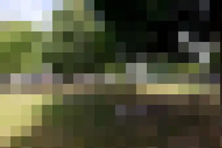 Corsicastraat 22 Almere thumbnail 29