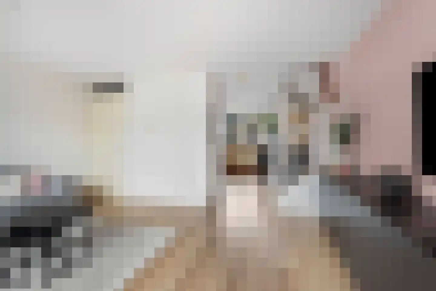 Corsicastraat 67 Almere thumbnail 12
