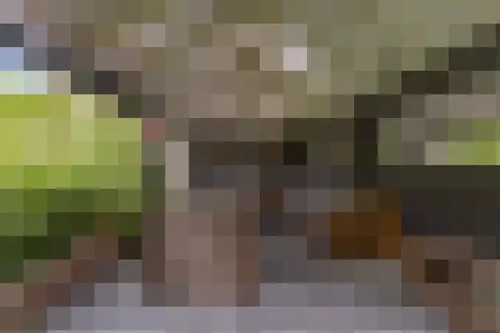 Corso 17 Huissen thumbnail 10