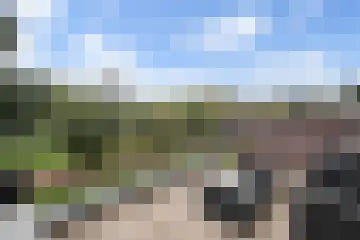 Corso 17 Huissen thumbnail 4