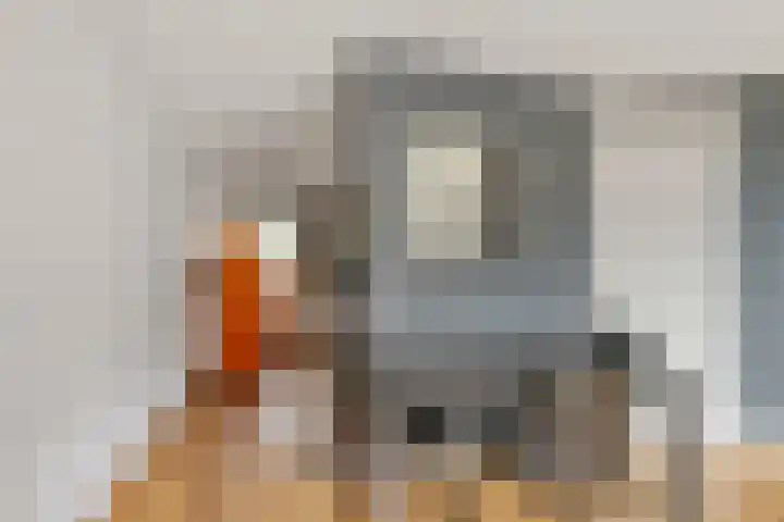 Corso 17 Huissen thumbnail 9