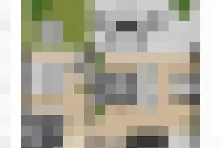 Corso 2 Huissen thumbnail 21