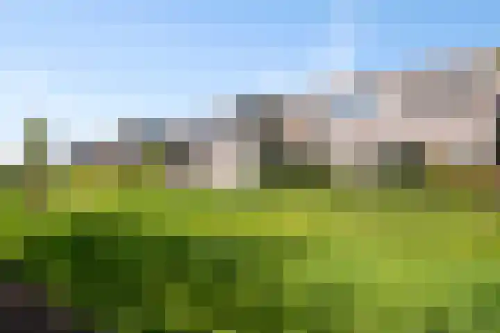 Corso 2 Huissen thumbnail 4